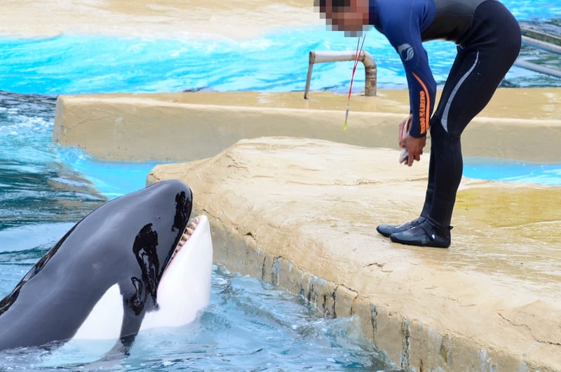 documentalesanimales