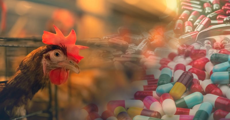 Antibiotics pollution