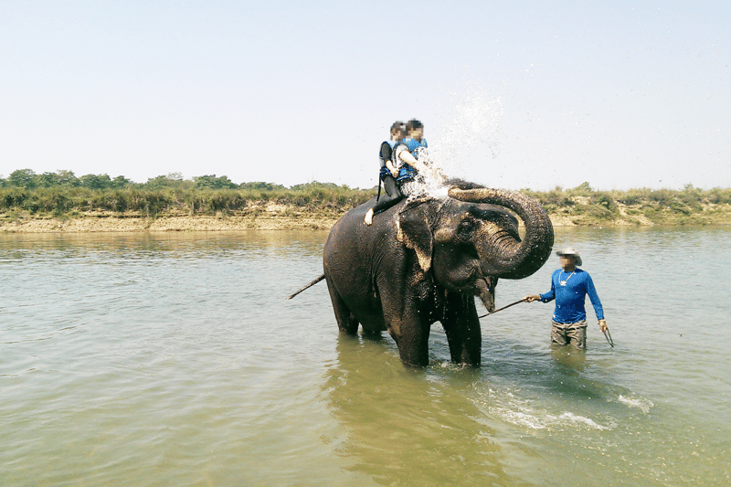 Turistas sobre elefante usado para experiencias de baño