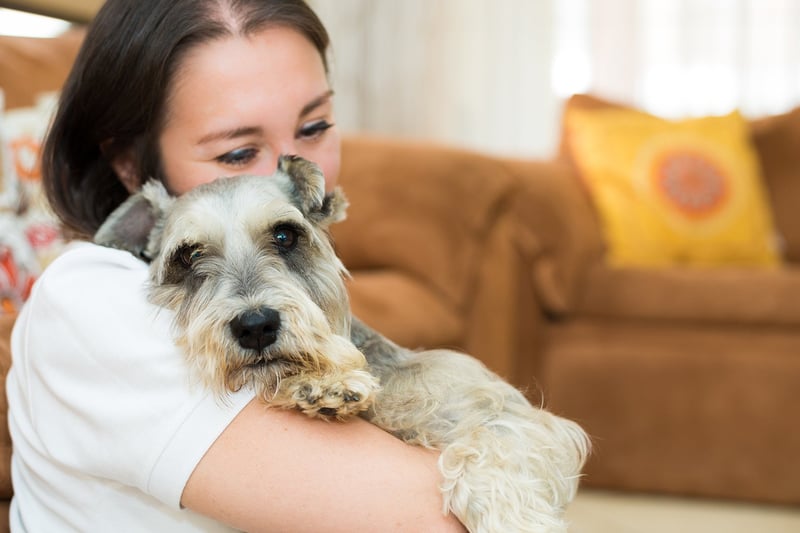 95% ven a sus mascotas como hijos o parte de sus familias