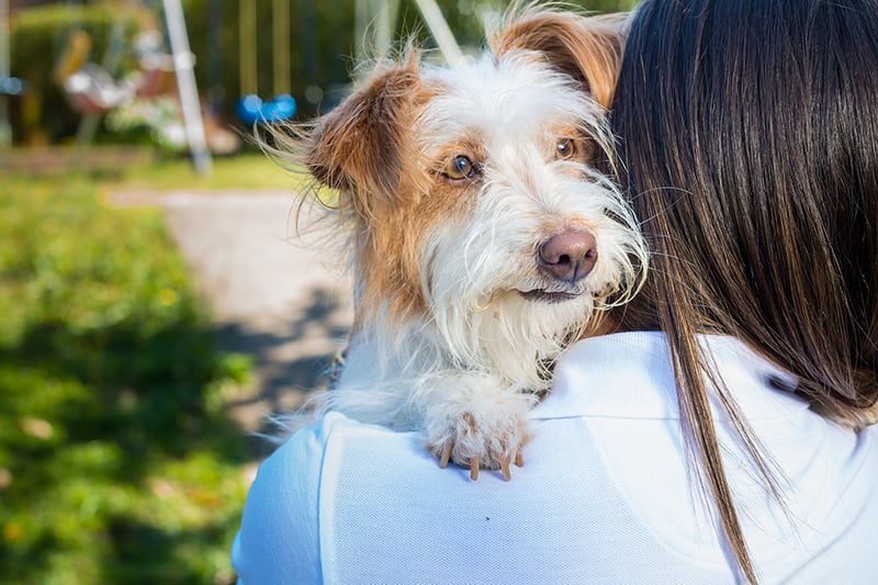esterilización 