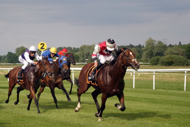 Caballos corren una carrera en un hipódromo.
