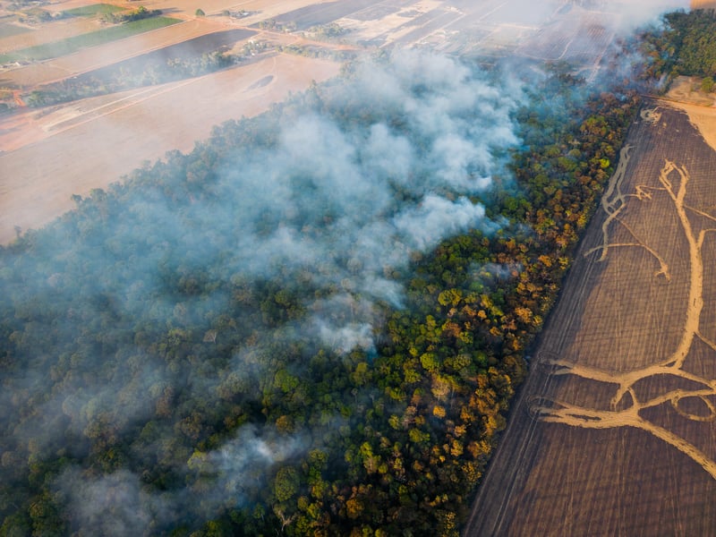 Vista aérea de la deforestación en la Amazonía, con humo elevándose del bosque incendiado junto a tierras agrícolas recién despejadas.
