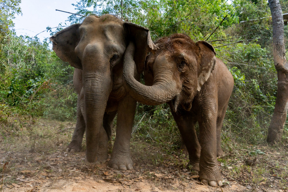 Mayura (right) and her mum, Mae Gorgae stop and pose during one of their walks.